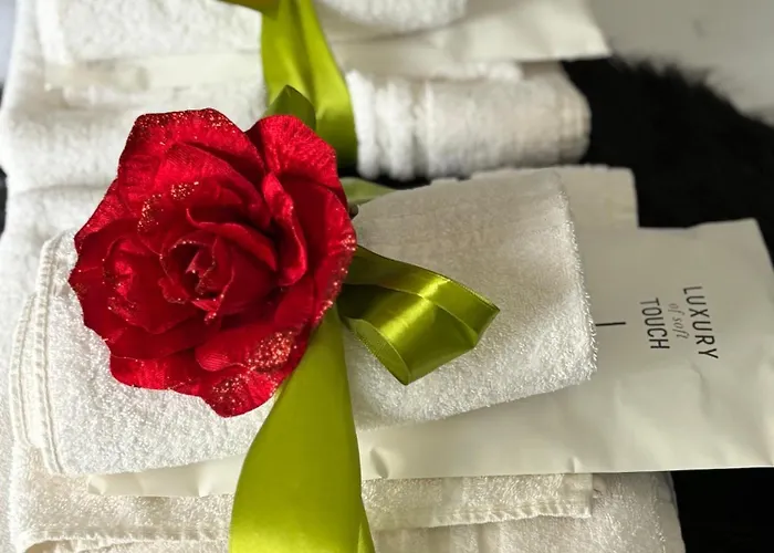 住宿加早餐酒店 Loto Luxury 特拉尼